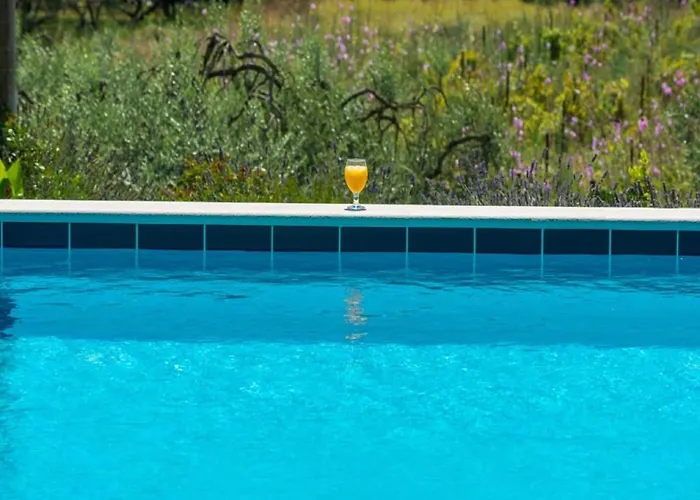 Harmonia With Patio And Shared Pool Apartment