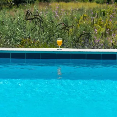 Harmonia - One-bedroom With Patio And Shared Pool Apartment